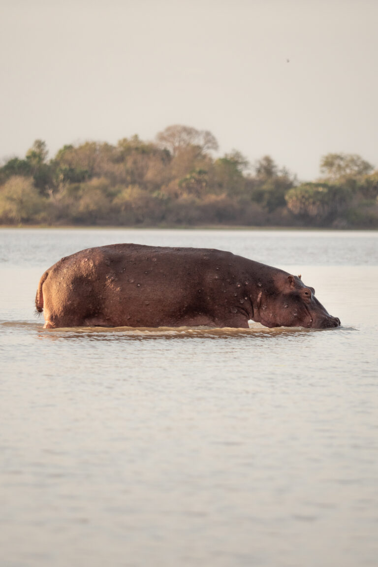 Selous Camp Portrait 12