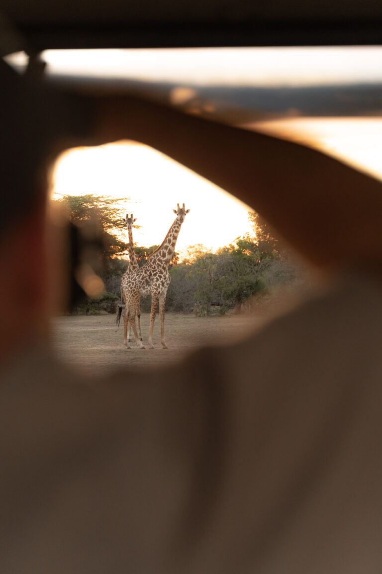 Selous Camp Portrait 4